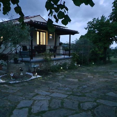 Apartma Vista Baredi Izola Bagian luar foto