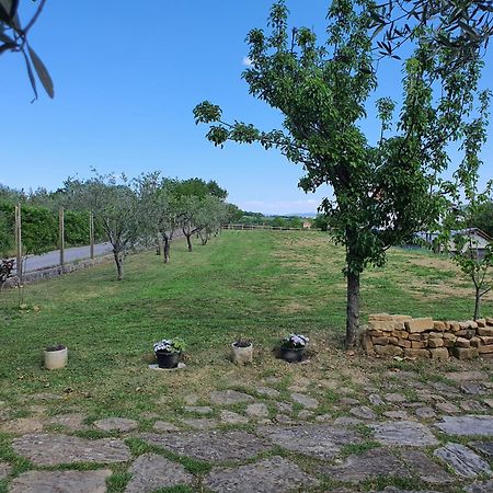 Apartma Vista Baredi Izola Bagian luar foto