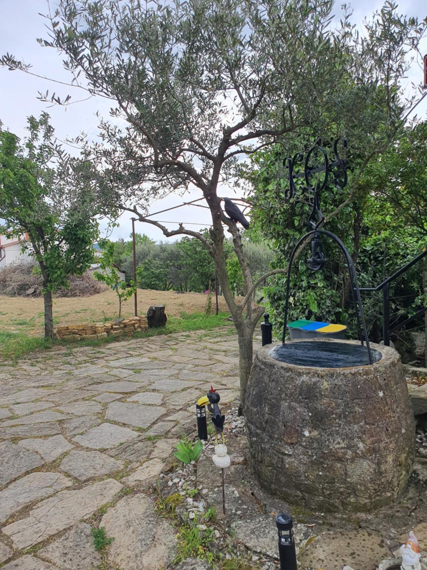 Apartma Vista Baredi Izola Bagian luar foto