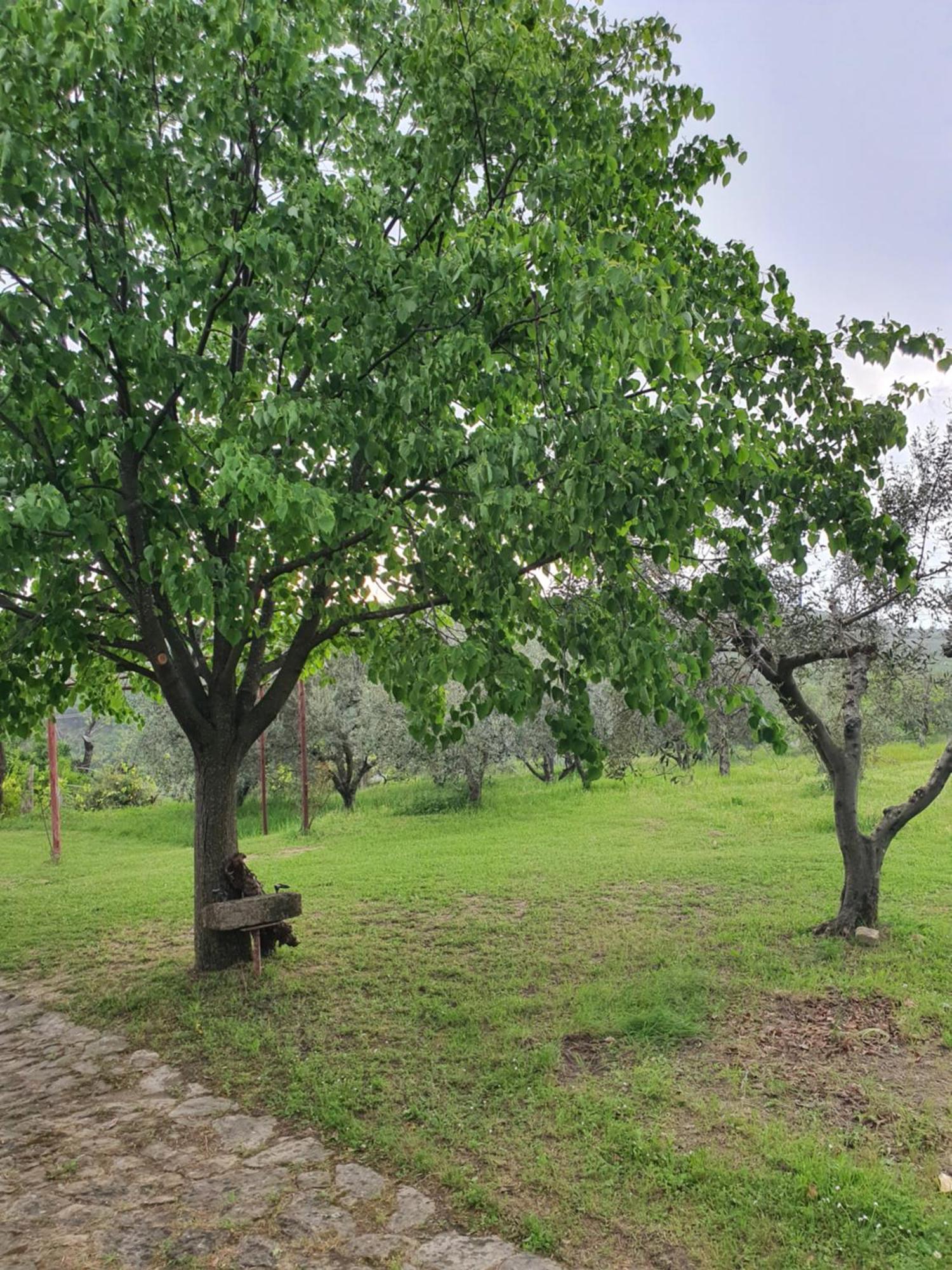 Apartma Vista Baredi Izola Bagian luar foto