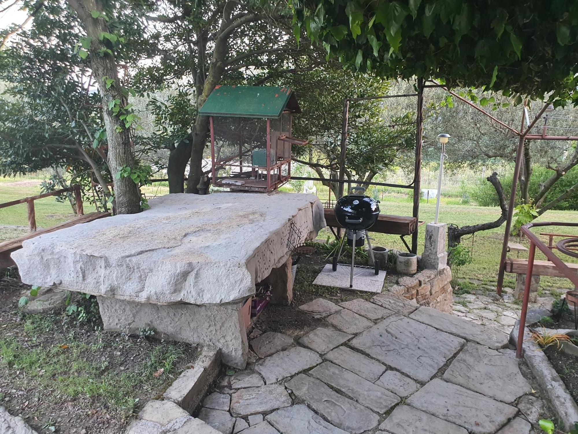 Apartma Vista Baredi Izola Bagian luar foto