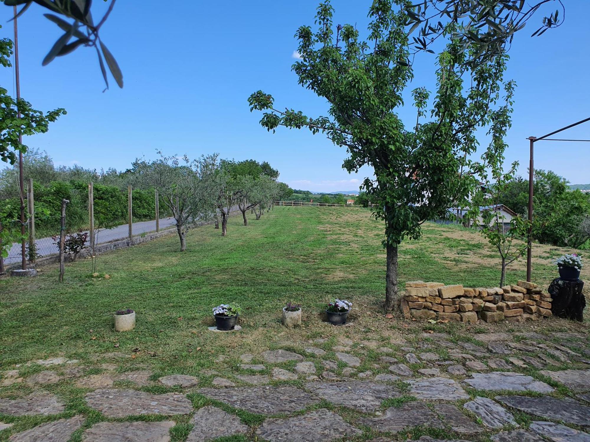 Apartma Vista Baredi Izola Bagian luar foto